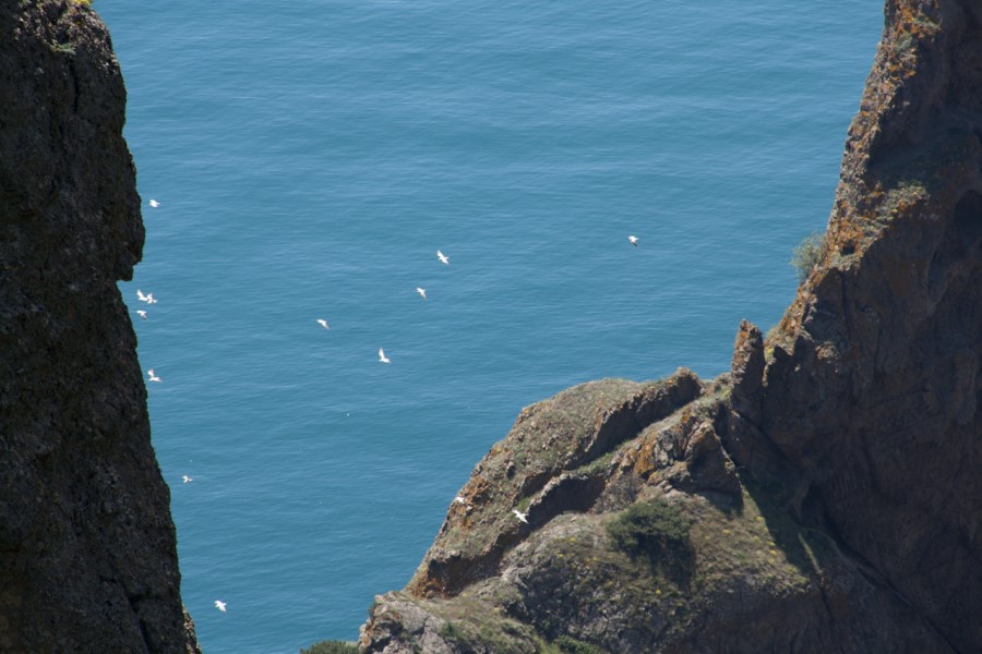 Кара-Даг, Коктебель